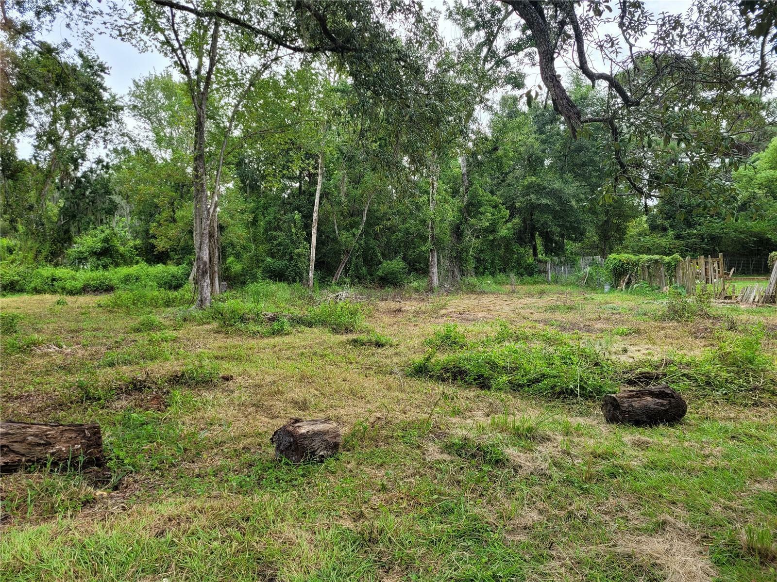 Property Photo:  Lake Drive  FL 34654 