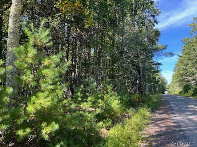 Lot 64 Haring Road  Glen Spey NY 12737 photo