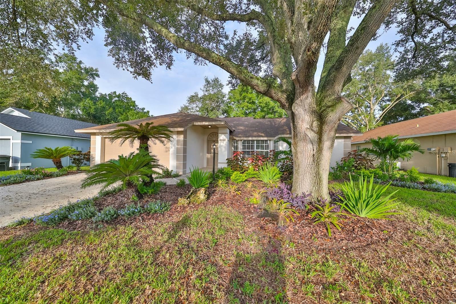 Property Photo:  28211 Tanglewood Drive  FL 33543 