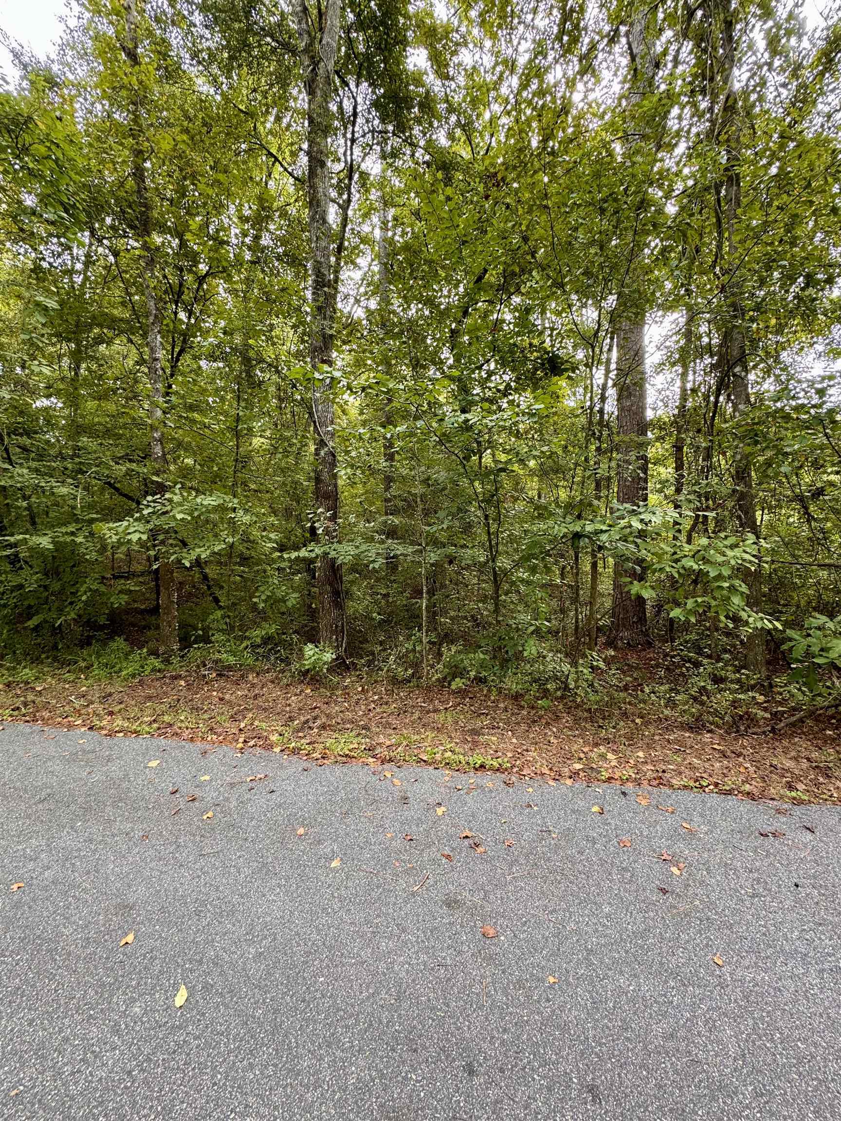 Property Photo:  0 Buckhorn Road  FL 32312 