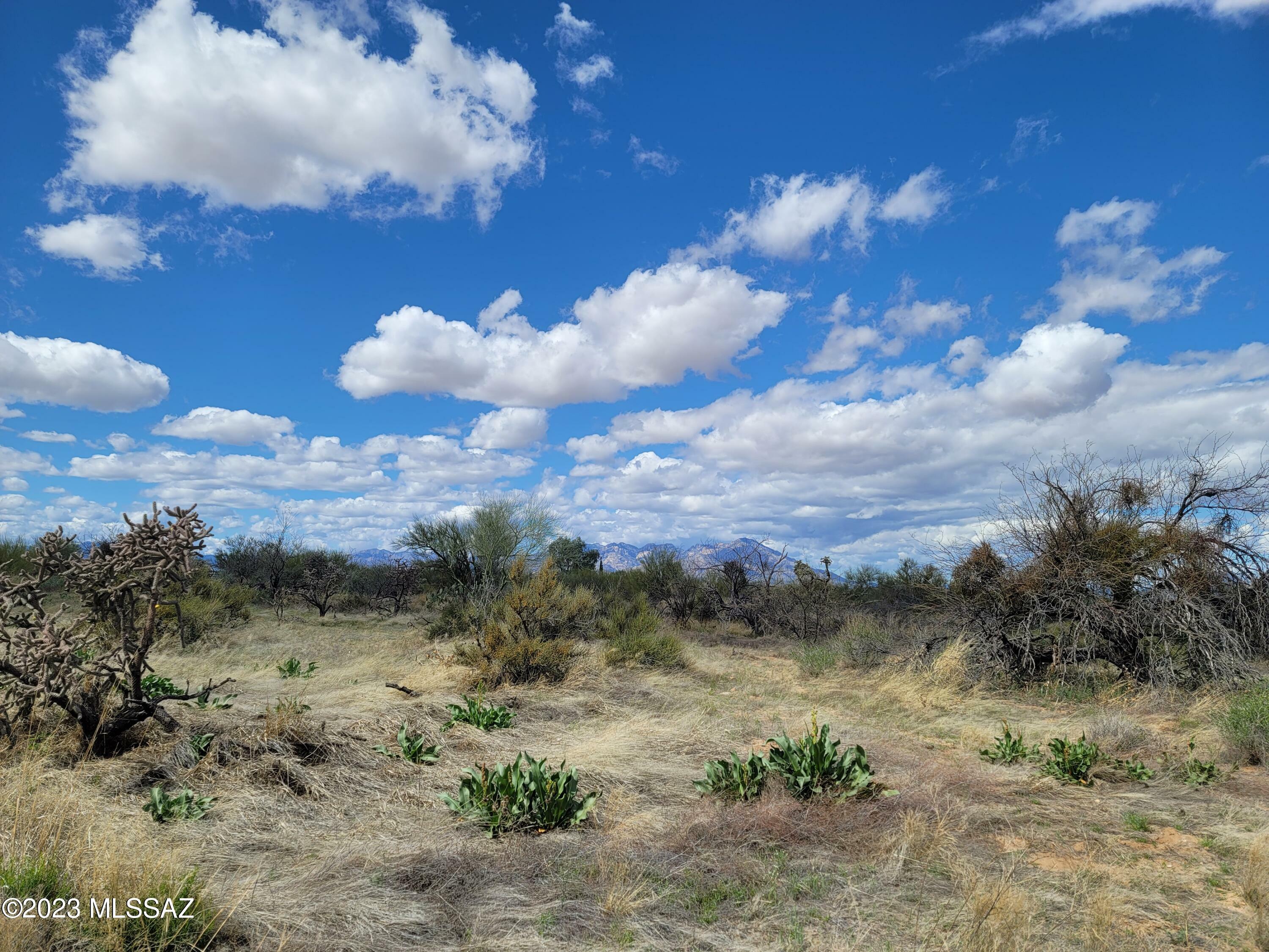 Property Photo:  15949 W Diamond Bell Ranch Road 8  AZ 85736 