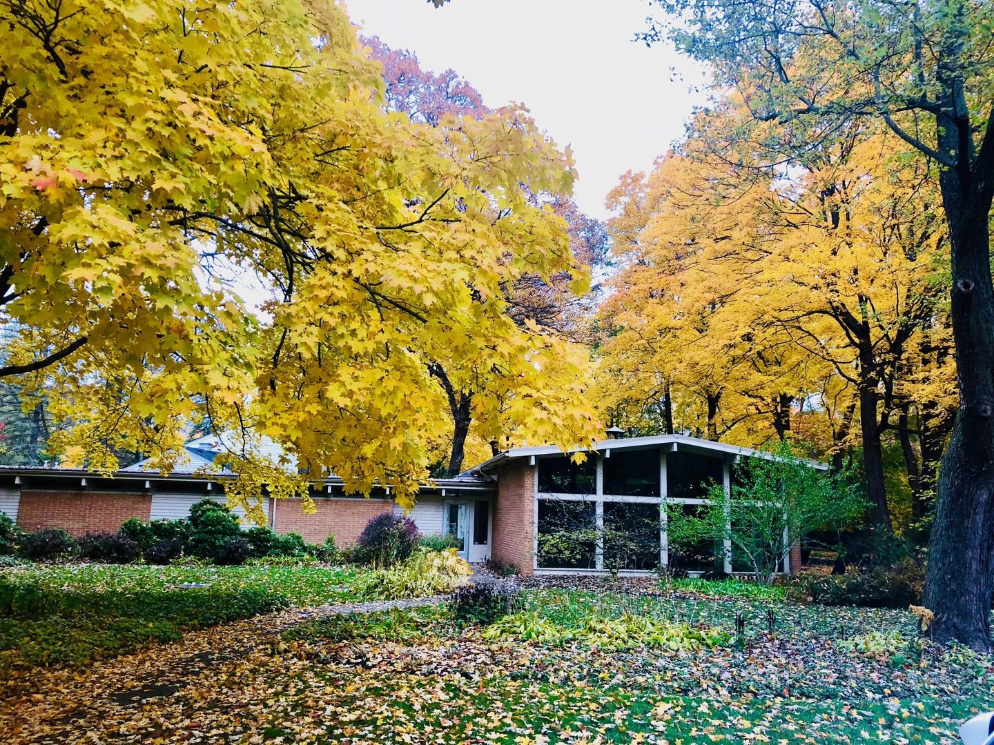 Property Photo: 52 Wiltshire Drive IL 60069