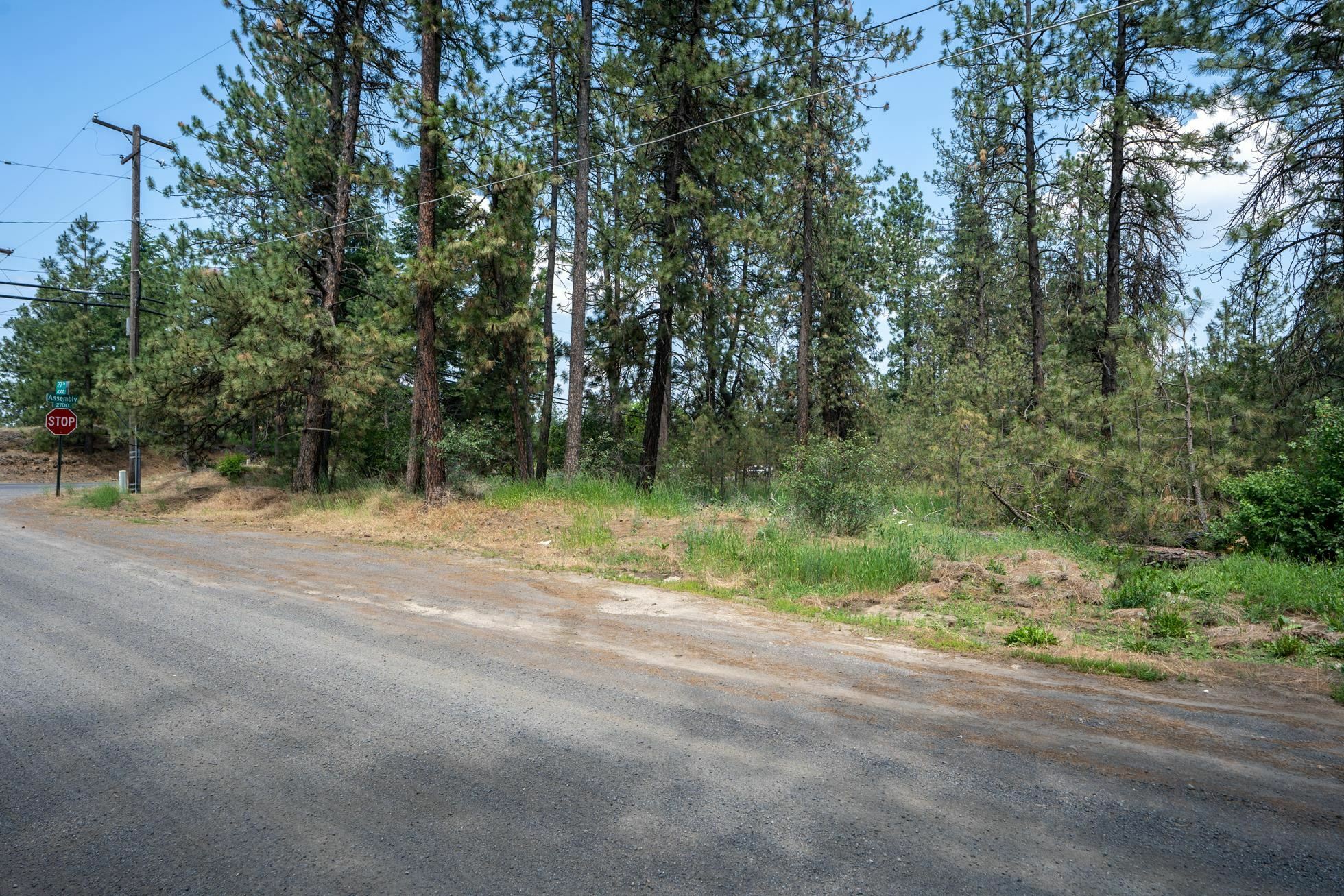 Property Photo:  Tbd S Assembly Rd  WA 99224 