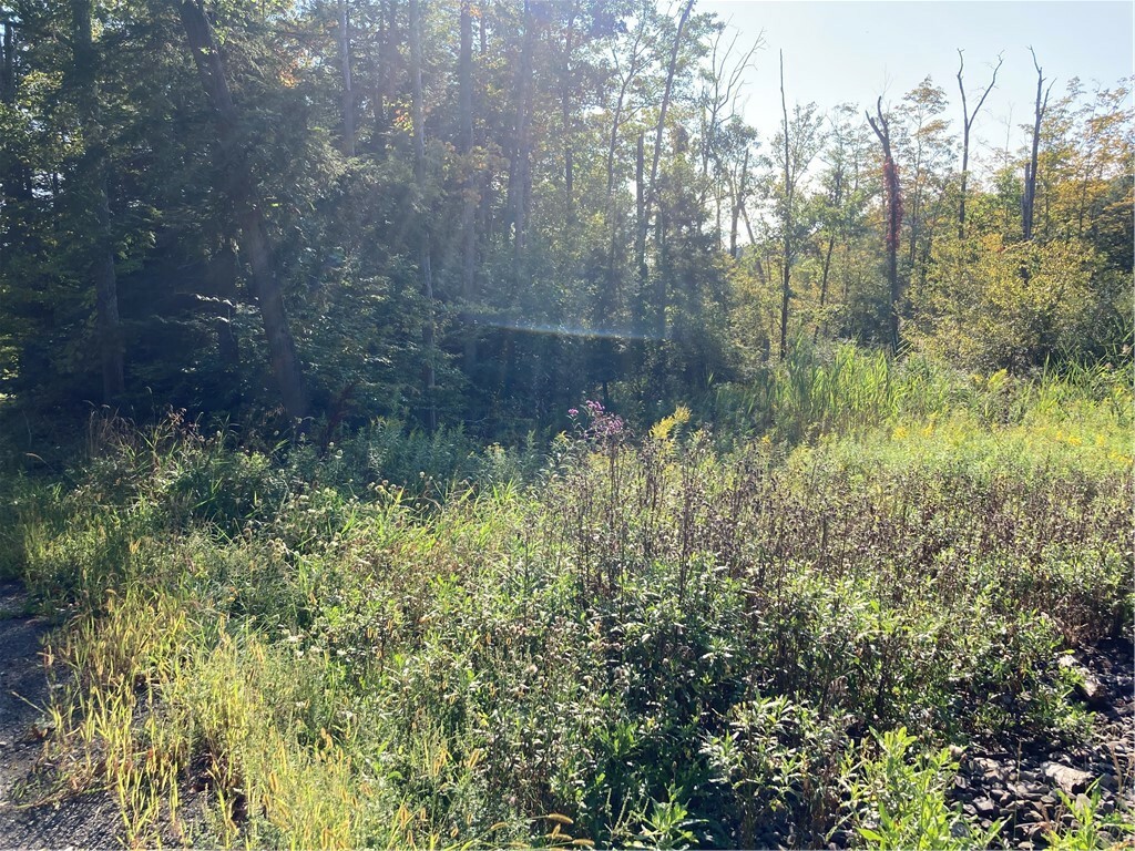Property Photo: 454 Ouaquaga Road NY 13904