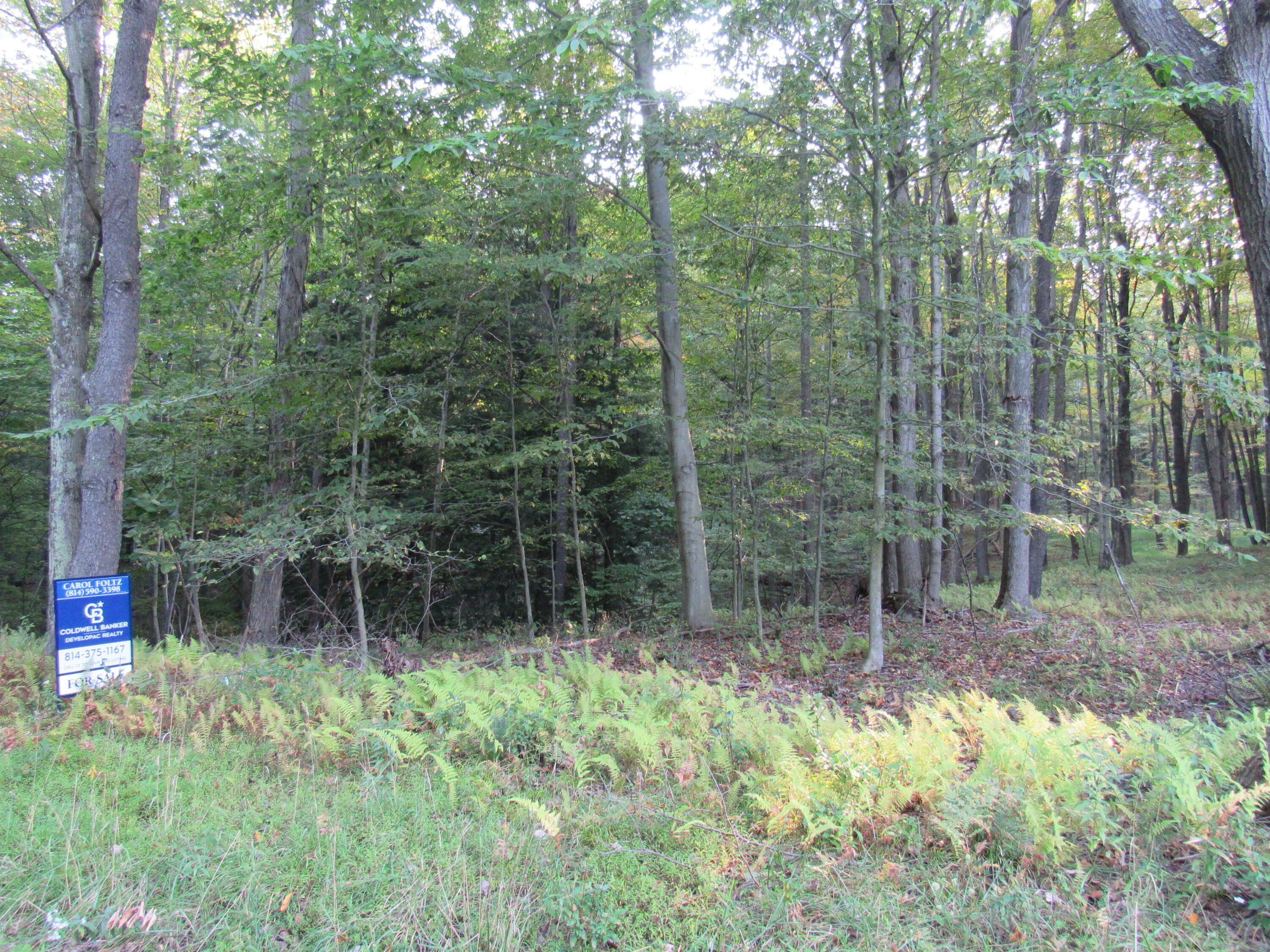 Property Photo:  15 Carribean Rd  PA 15801 