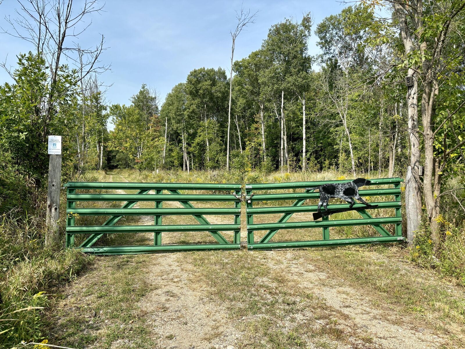 Property Photo: Johnson Road MI 49645
