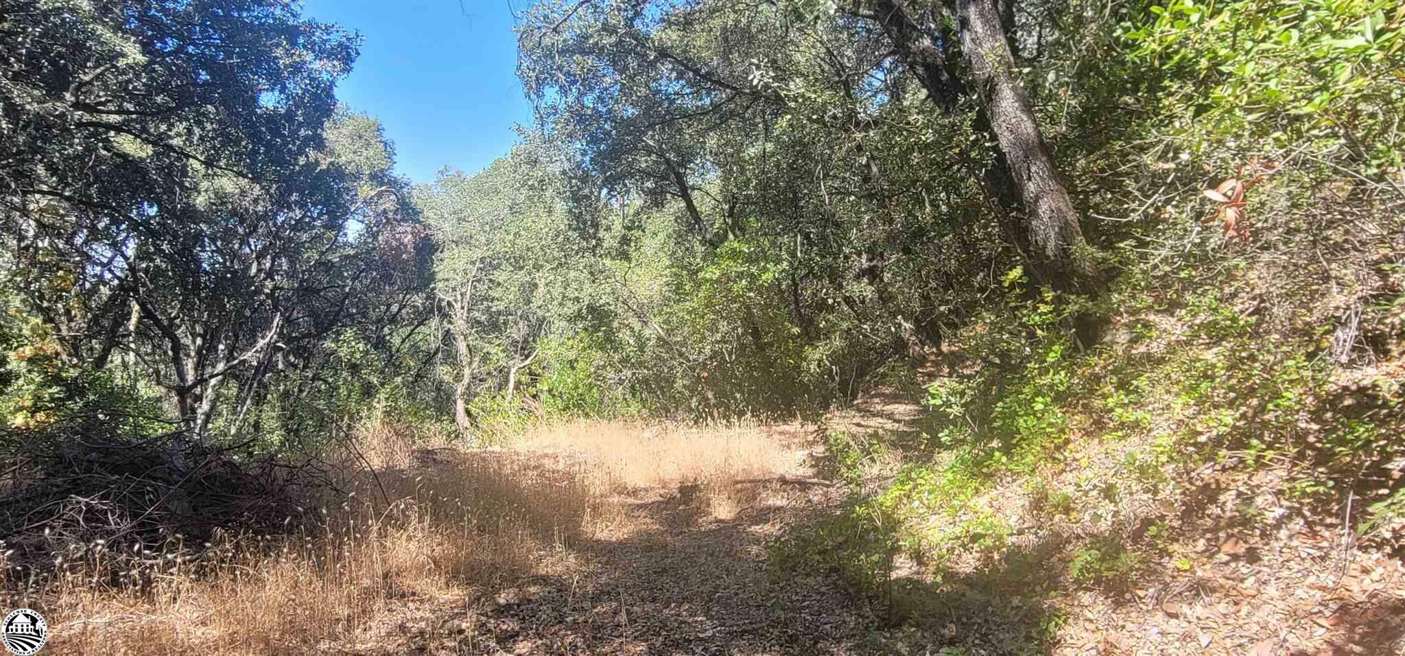 Property Photo:  12950 Shanghi Mine Road  CA 95310 