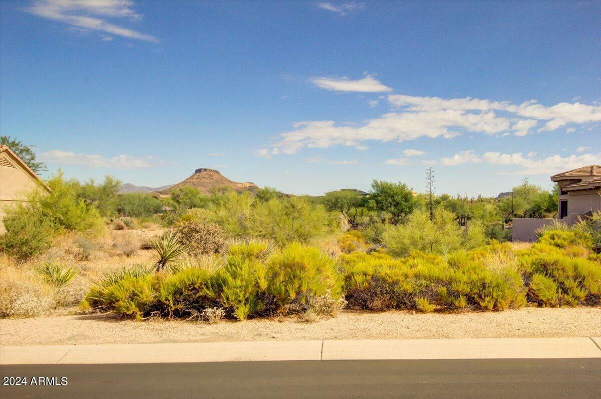 Property Photo:  10922 E Cinder Cone Trail 173  AZ 85262 