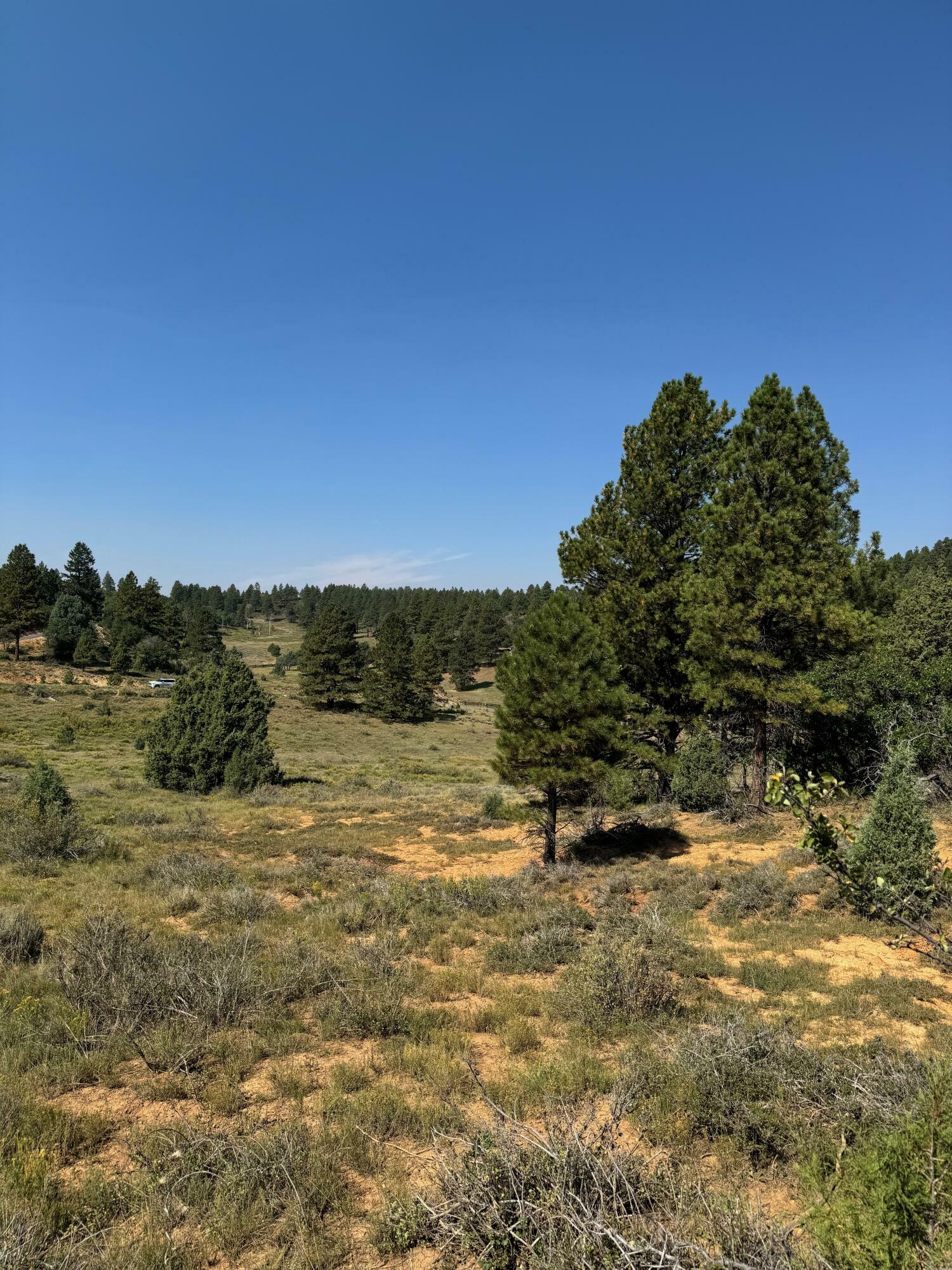 Property Photo: 2450 W. Manitoban Trail UT 84762