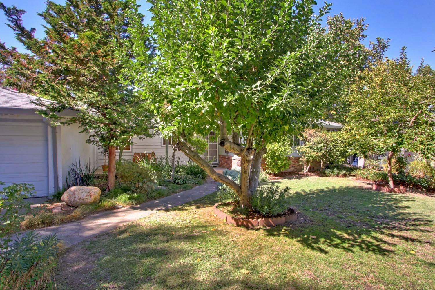 Property Photo:  4308 Ulrich Way  CA 95822 