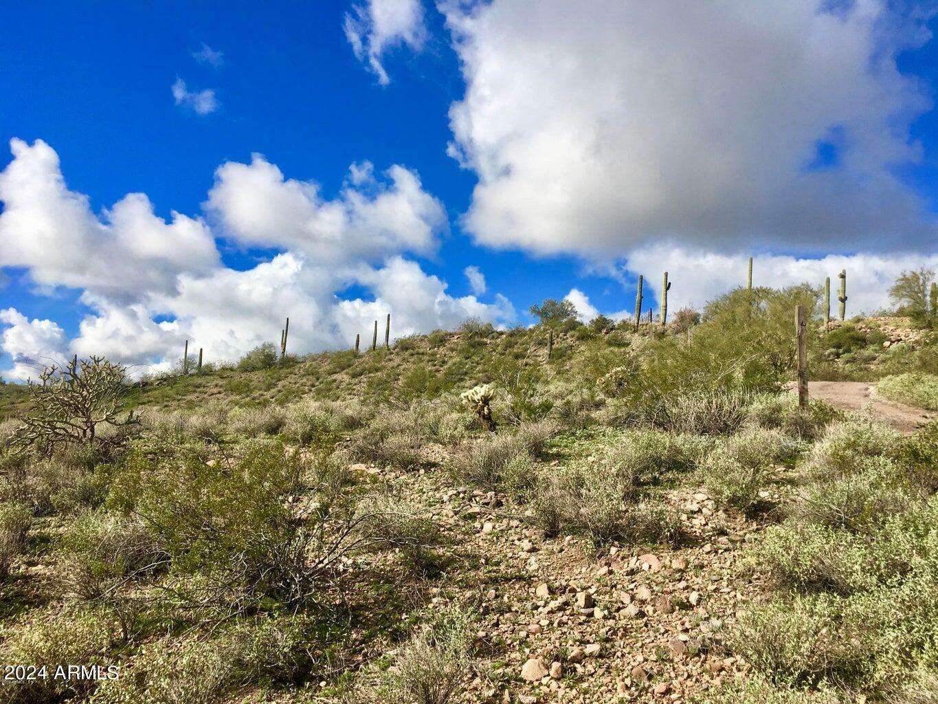 Property Photo:  3353 W Roughrider  2.5 Ac Road -  AZ 85087 