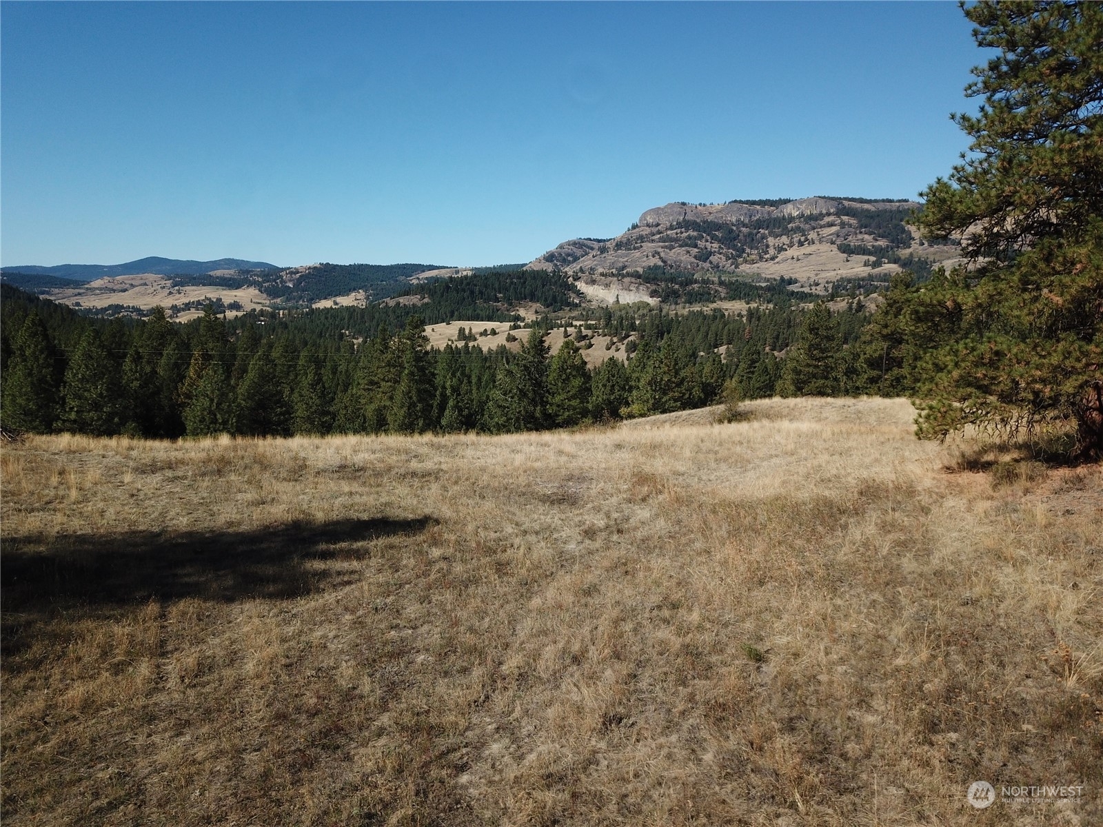 Property Photo:  68 Jostin Lane  WA 99150 