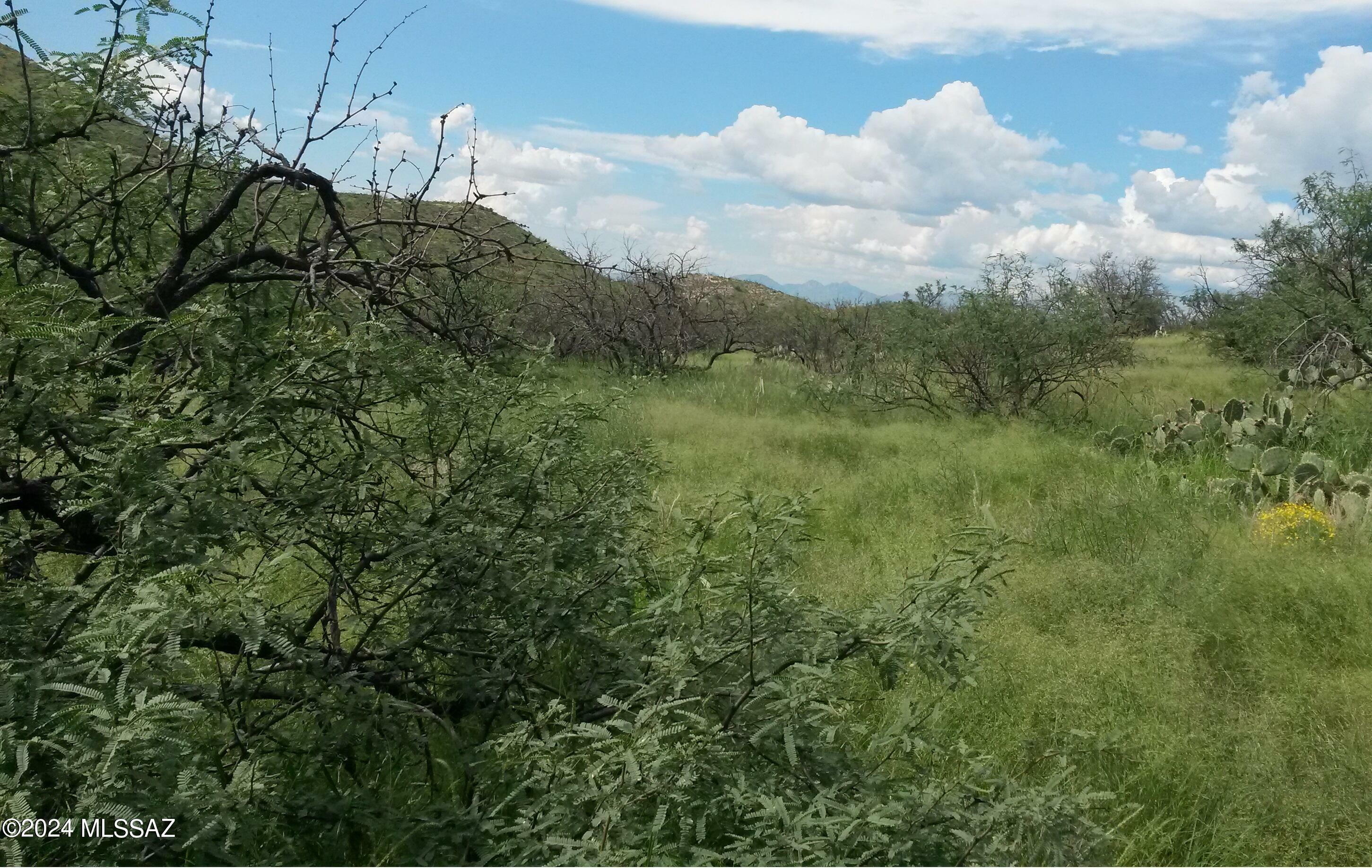 Property Photo:  S Goodenough Trail Lot 9  AZ 85641 