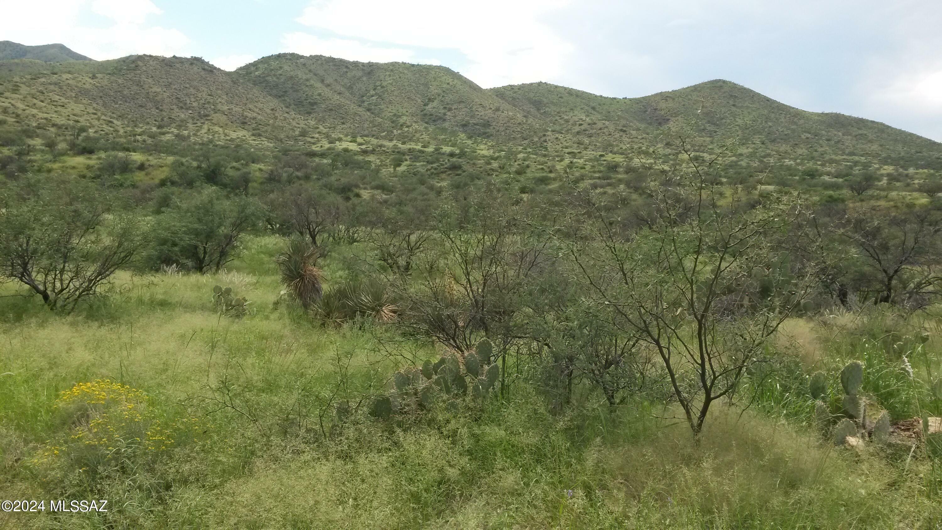 Property Photo:  S Goodenough Trail Lot 1  AZ 85641 