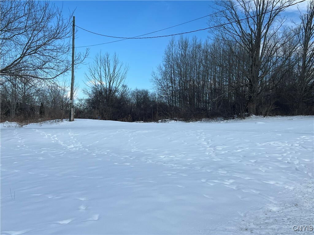 Property Photo: 1177 Gallagher Road NY 13045