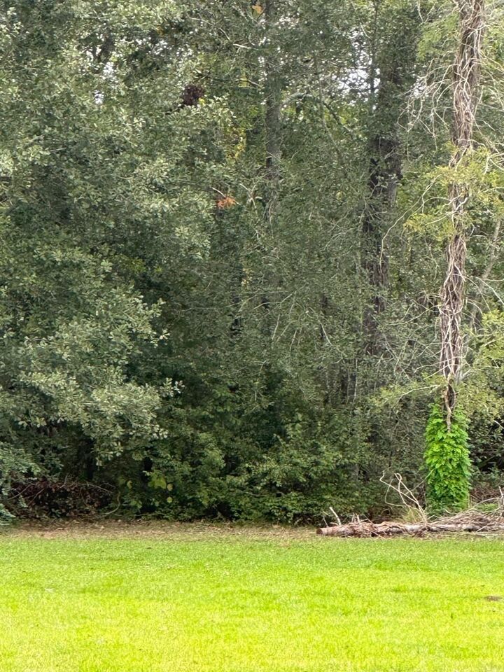 Property Photo: Off Of Fm 1409 TX 77523