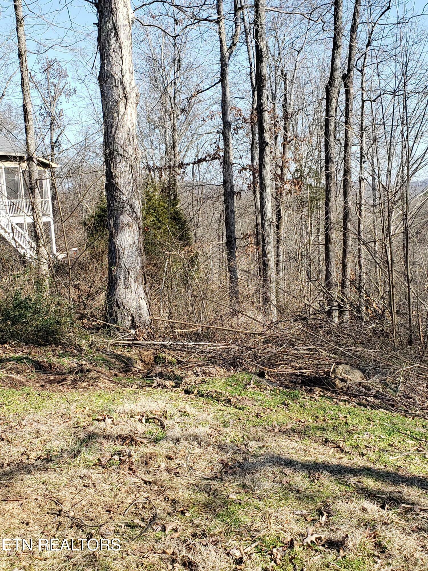 Property Photo:  105 Rockbridge Greens Blvd  TN 37830 