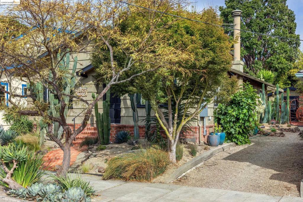 Property Photo:  1355 Acton St  CA 94706 
