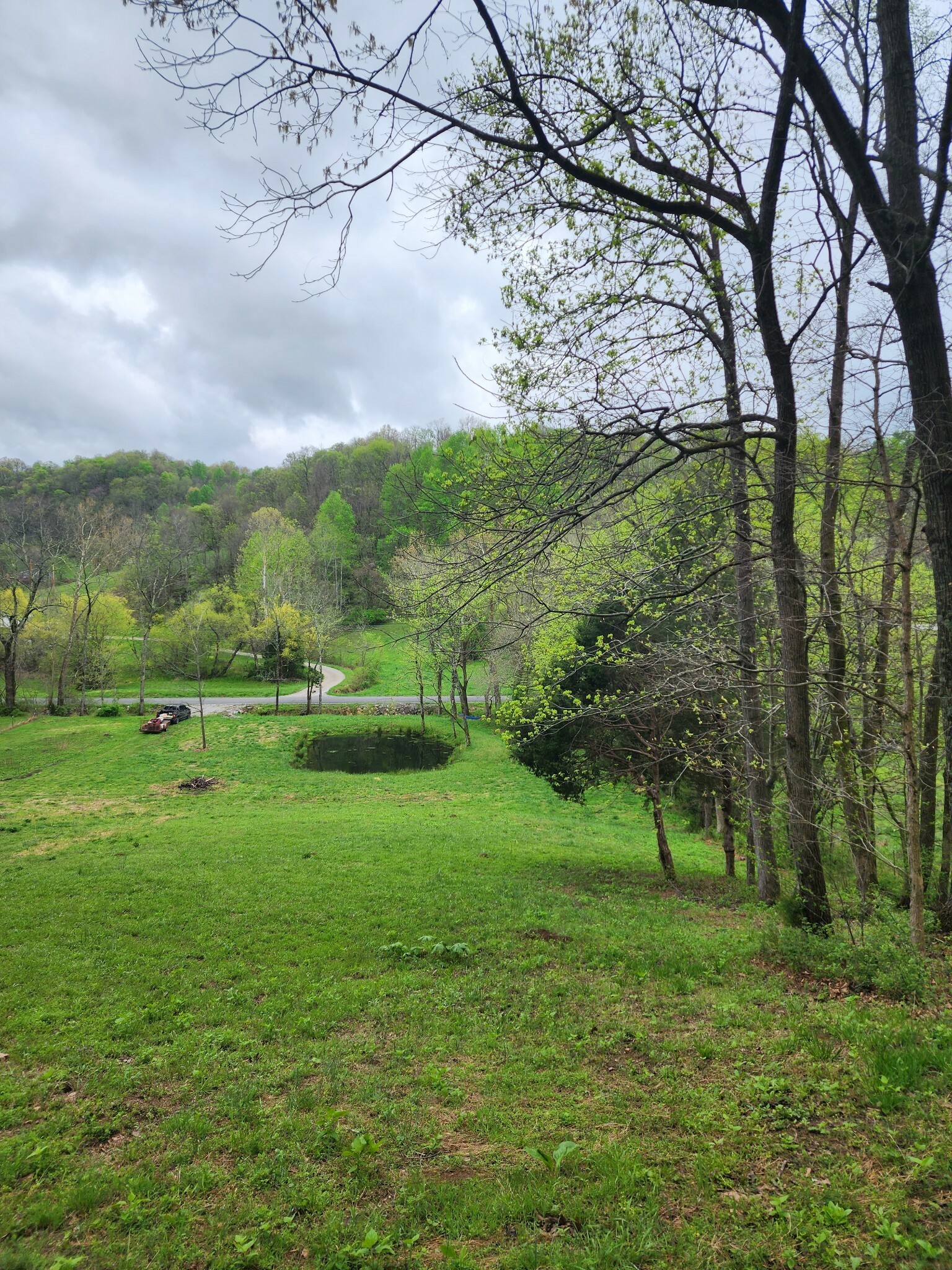 Property Photo:  0 Stiversville Road  TN 38451 