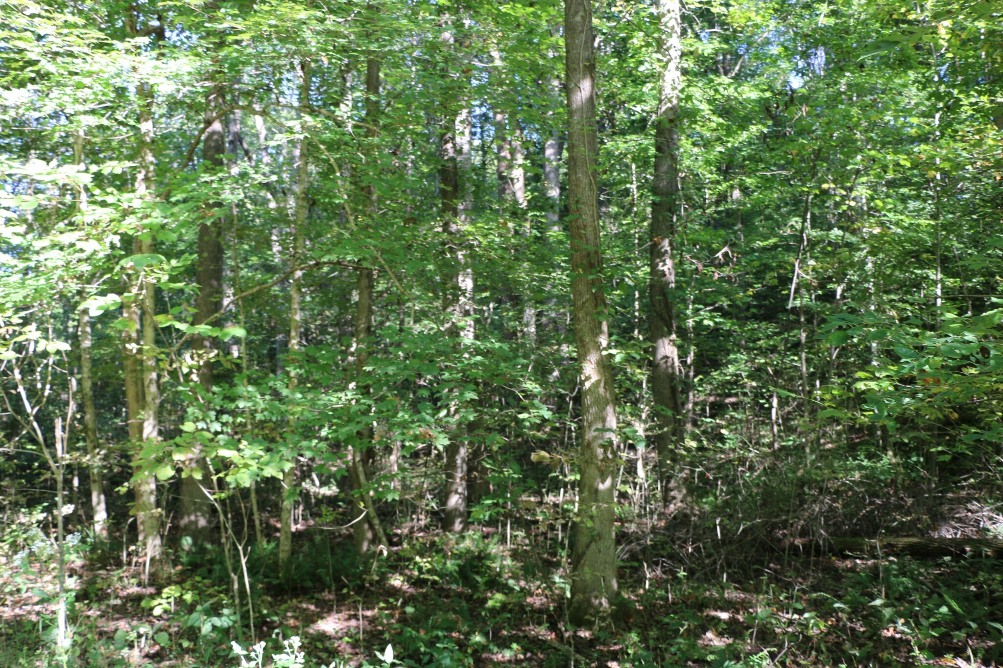 Property Photo: 167 Hermitage Cir TN 37028