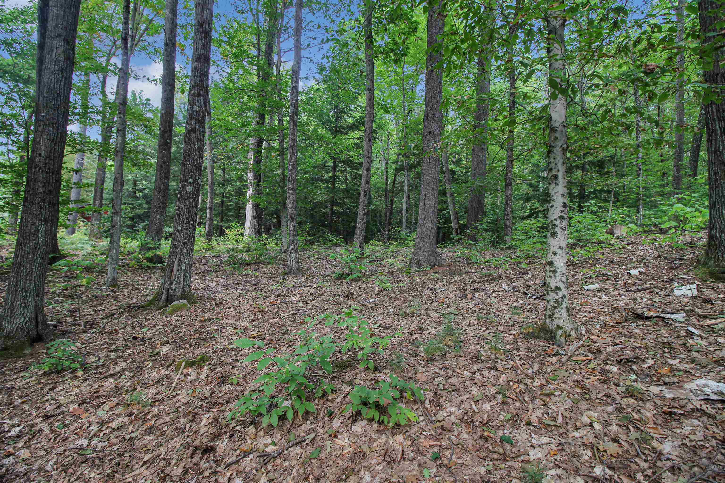 Property Photo: 00 Route 175 NH 03285