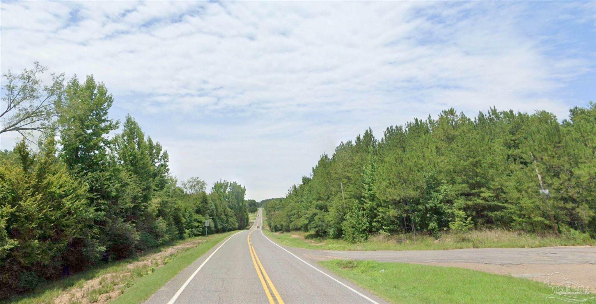 Property Photo:  Hwy 43 US Hwy 43  AL 35546 