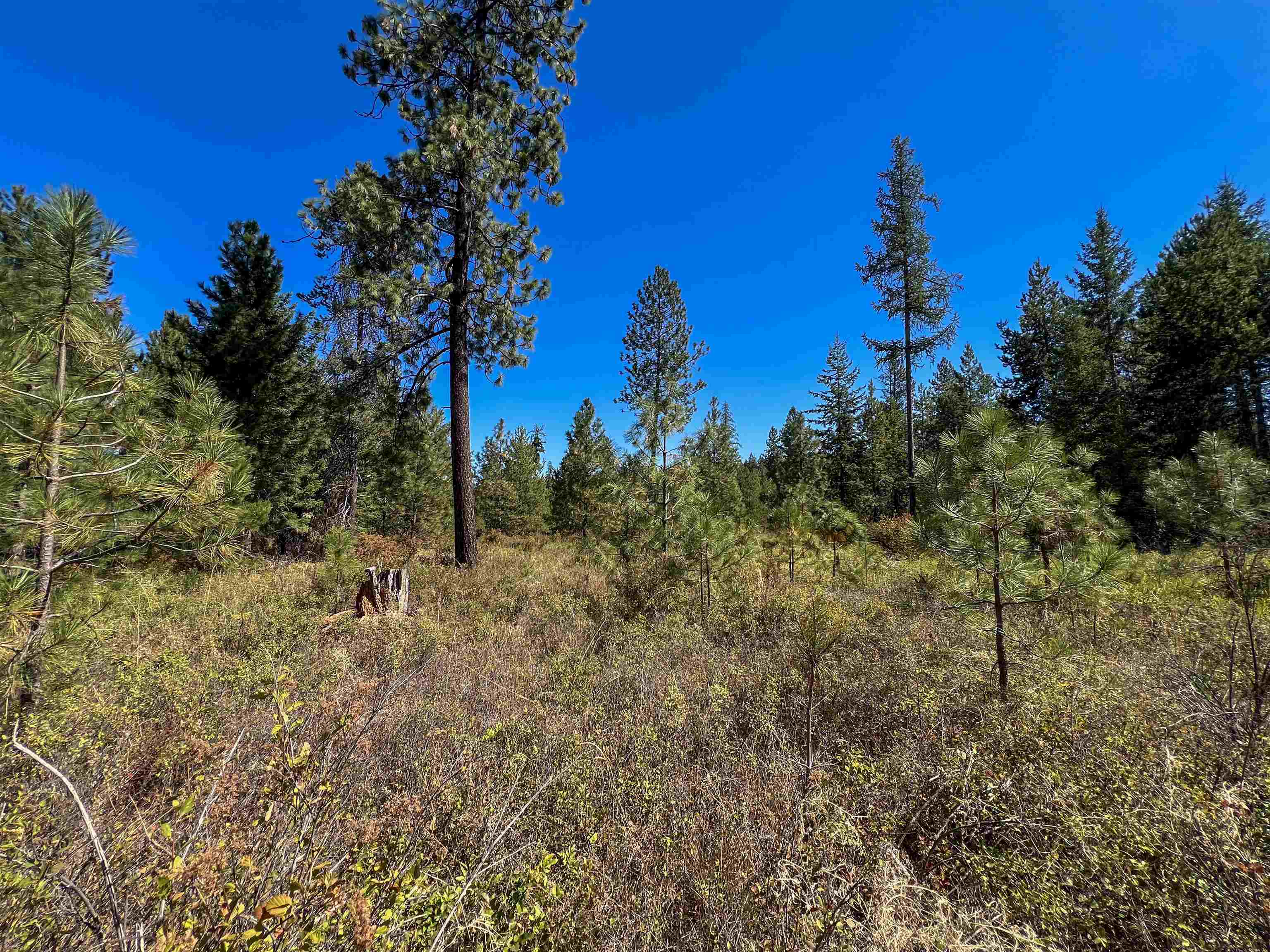 Property Photo:  52xx Lot 2 Swenson Rd  WA 99006 