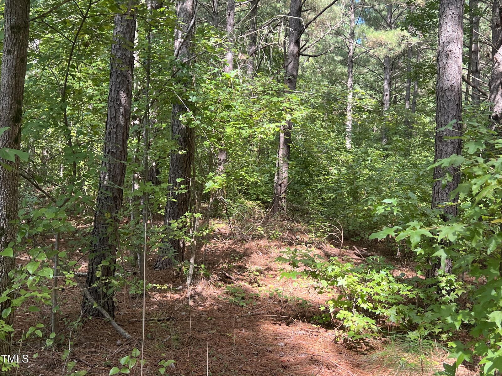 Property Photo:  00 Farrell Road  NC 27330 