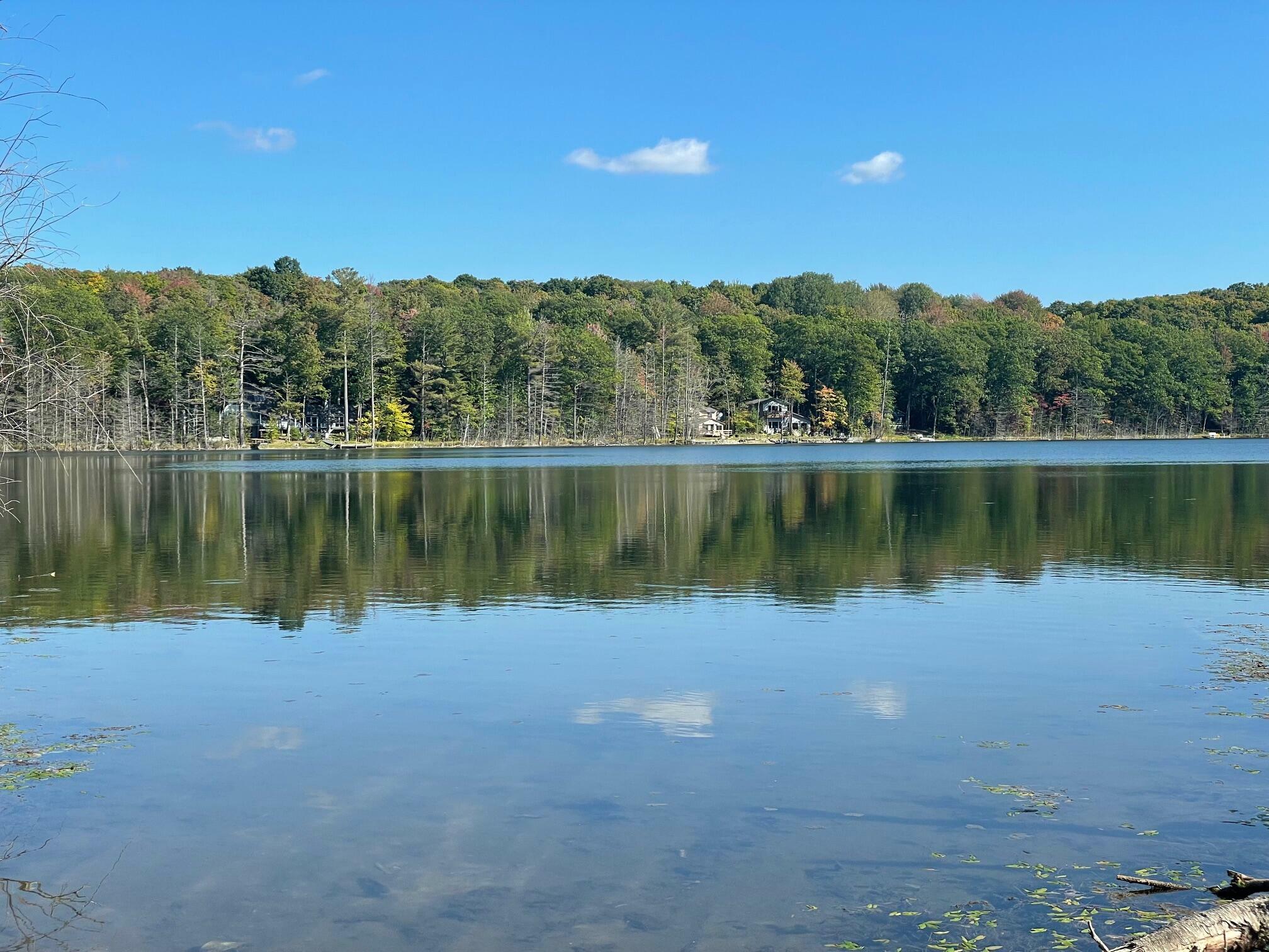 Property Photo:  Lot 3, E Martin Lake Drive  MI 49735 