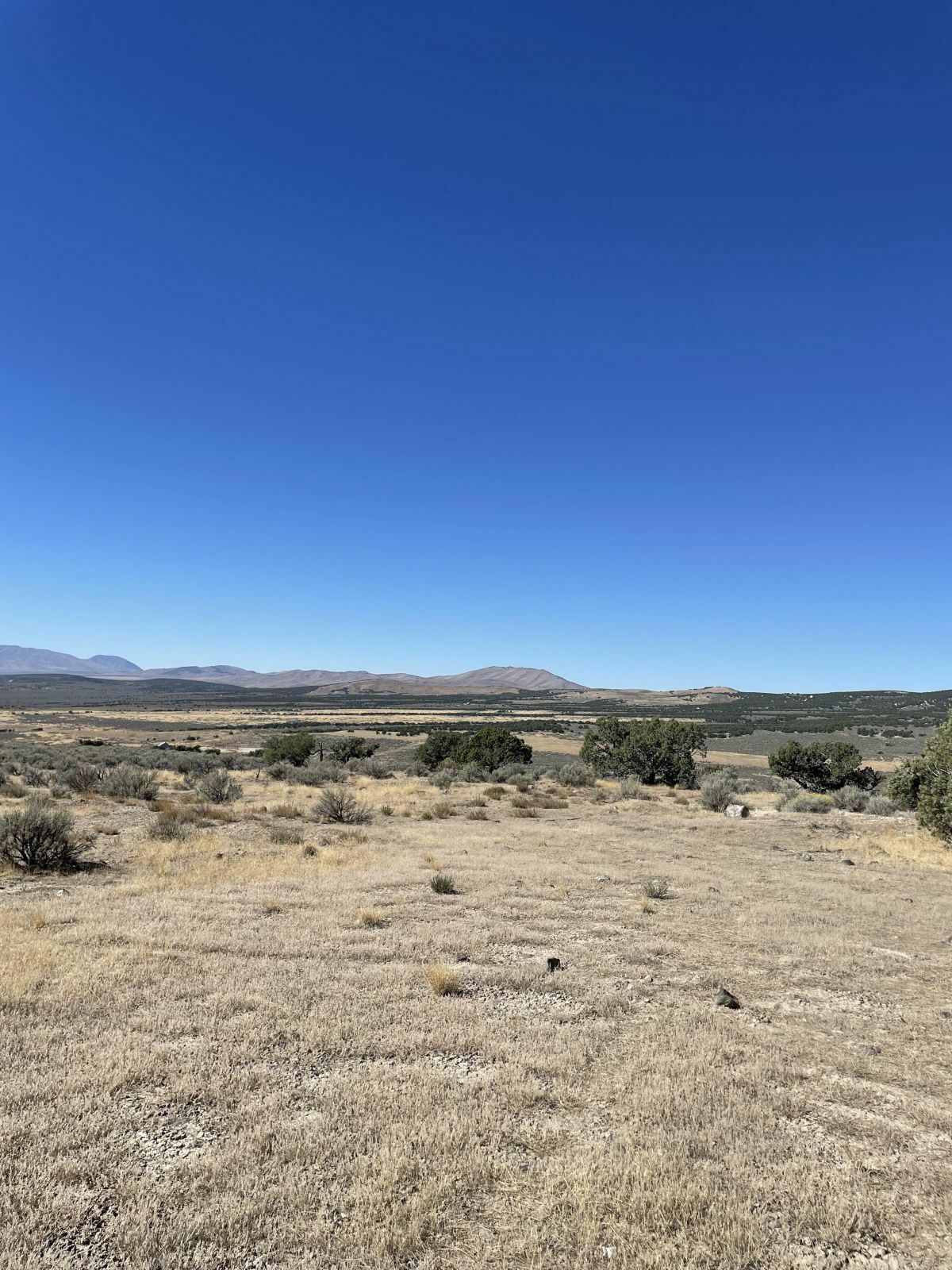 Tbd Emigrant Court  Spring Creek NV 89815 photo
