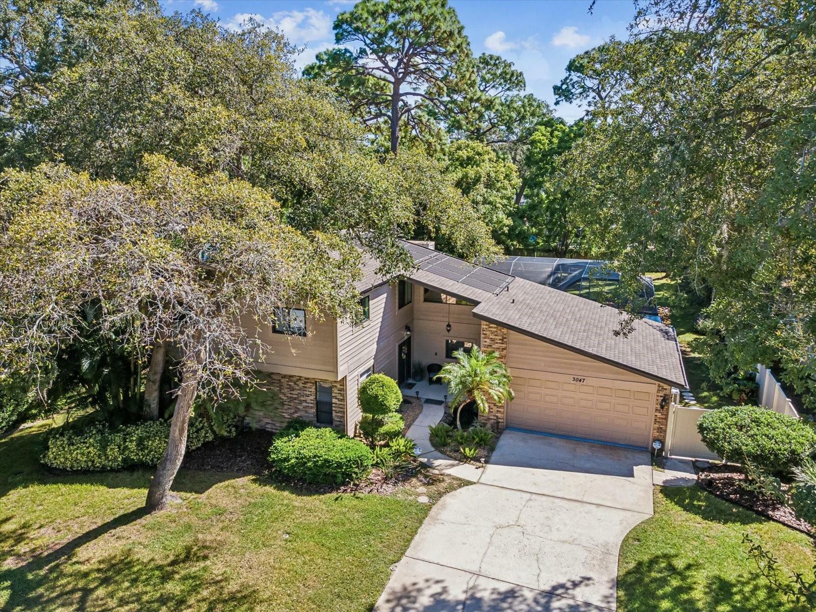 Property Photo:  3047 Enisglen Drive  FL 34683 