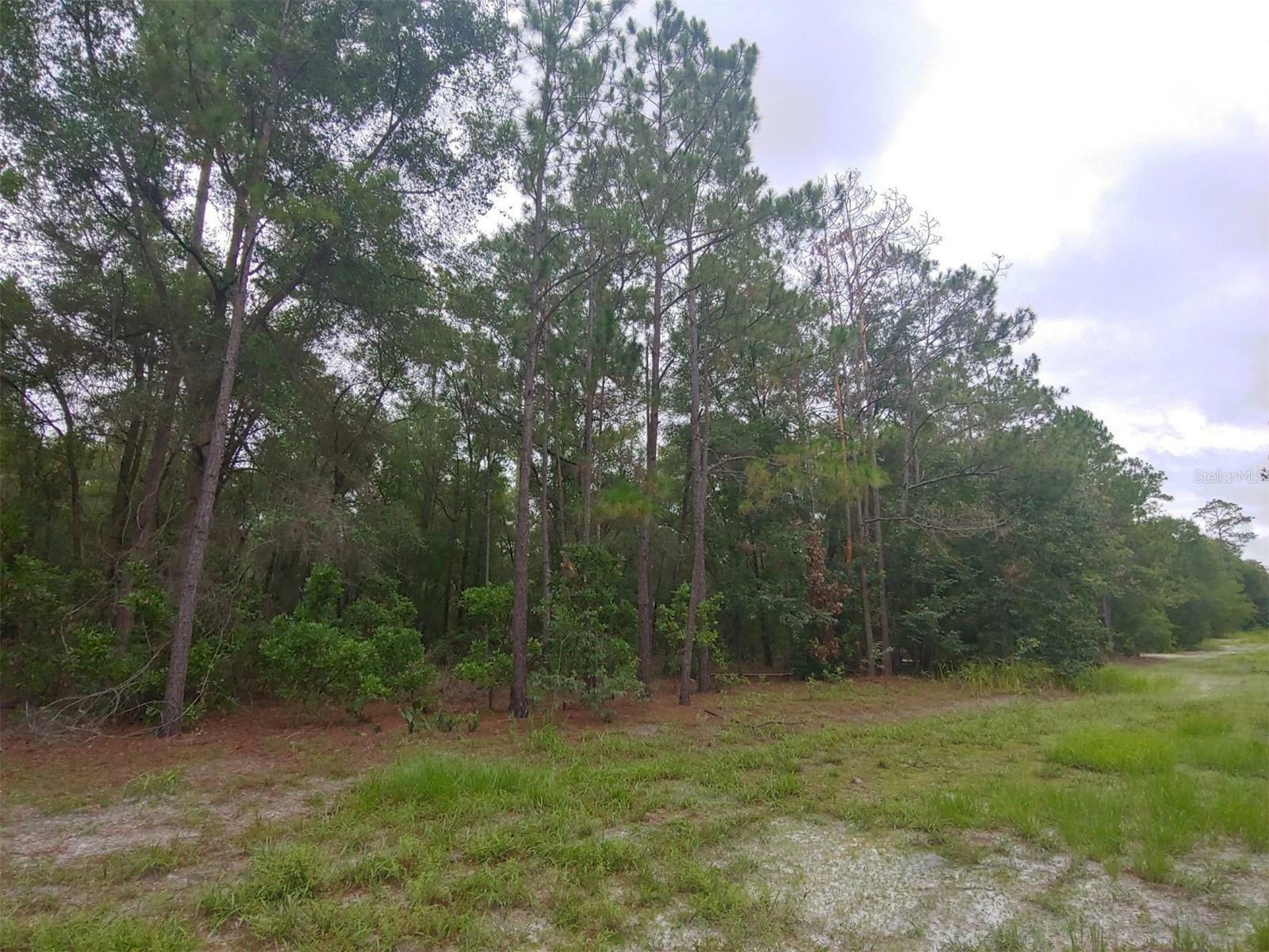 Property Photo: 3051 S Old Floral City Road FL 34450