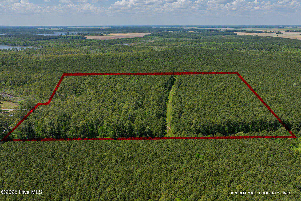 Property Photo:  00000 Frog Island Road  NC 27909 