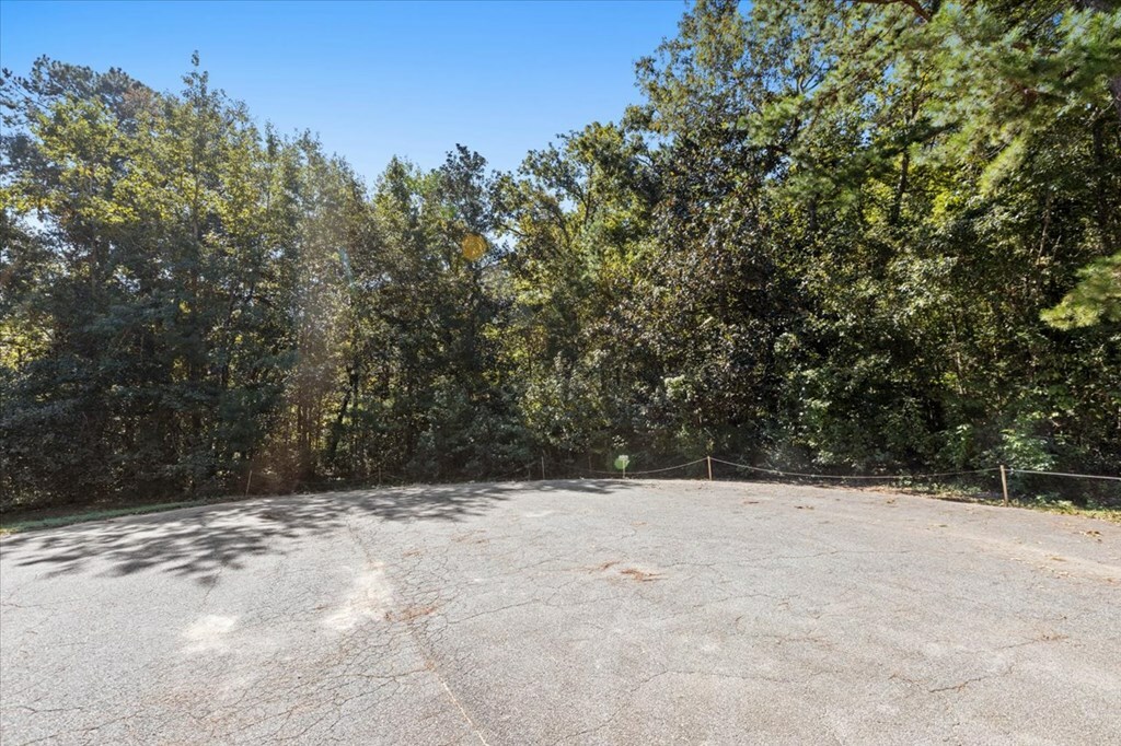 Property Photo:  116 Ivanhoe Drive  GA 31792 