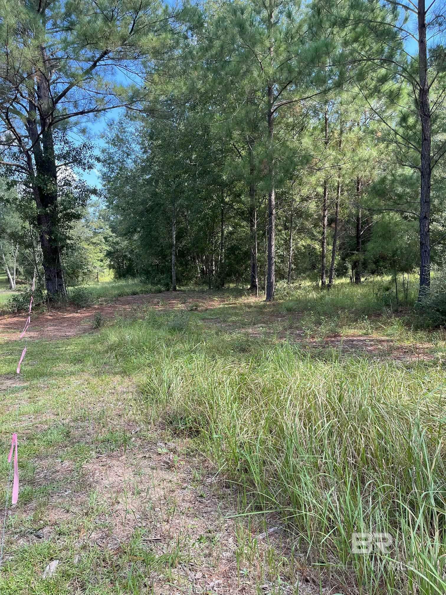 0 County Road 68 N  Robertsdale AL 36567 photo