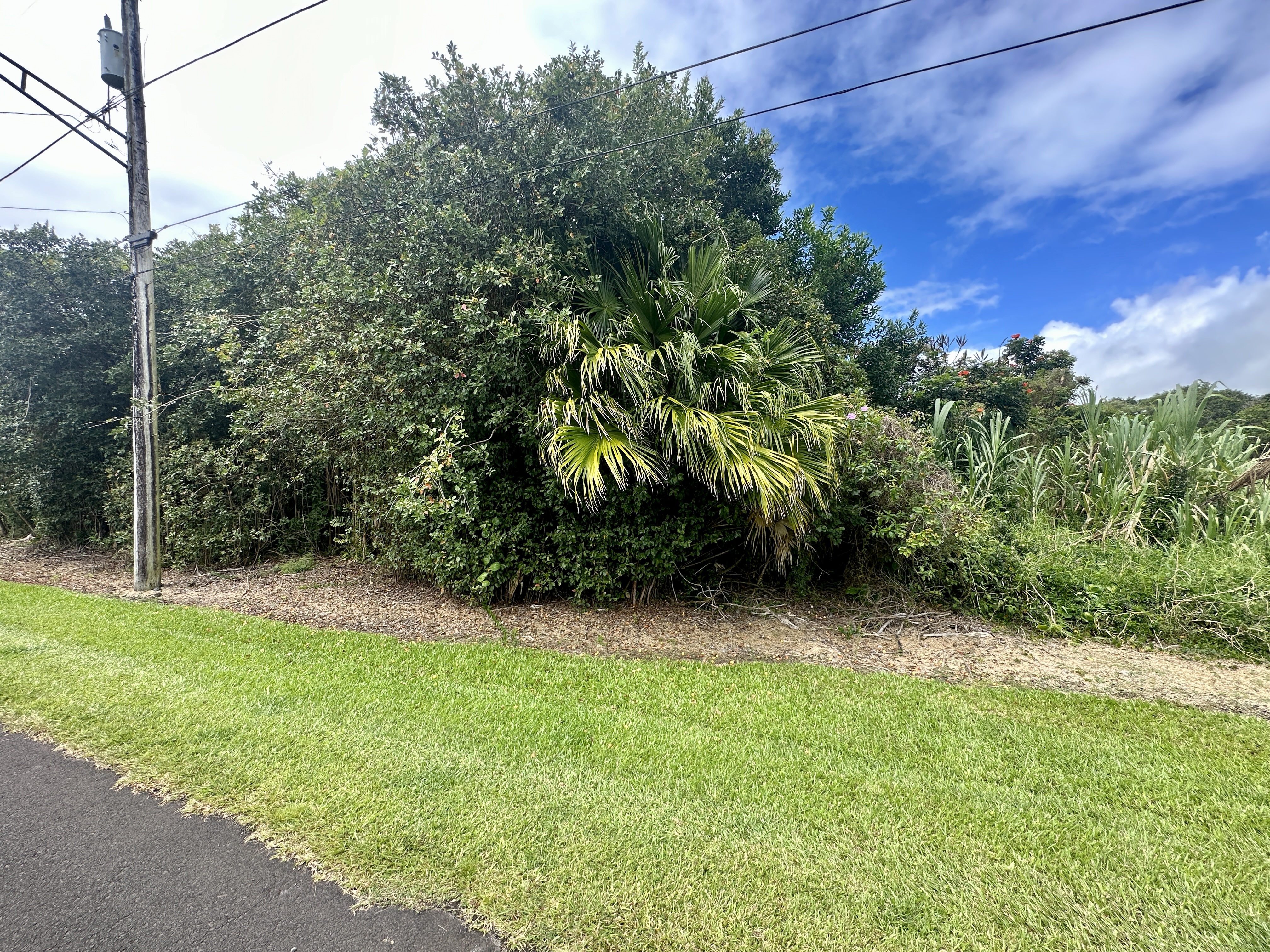 Property Photo:  Launa St  HI 96720 
