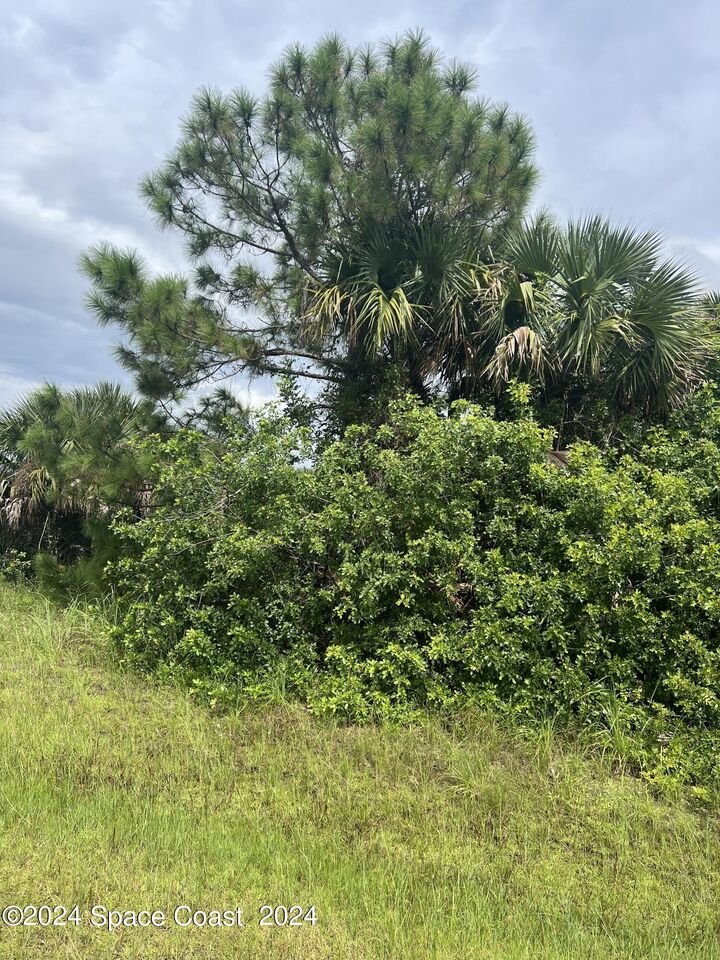 3061 Madden Avenue SW  Palm Bay FL 32908 photo