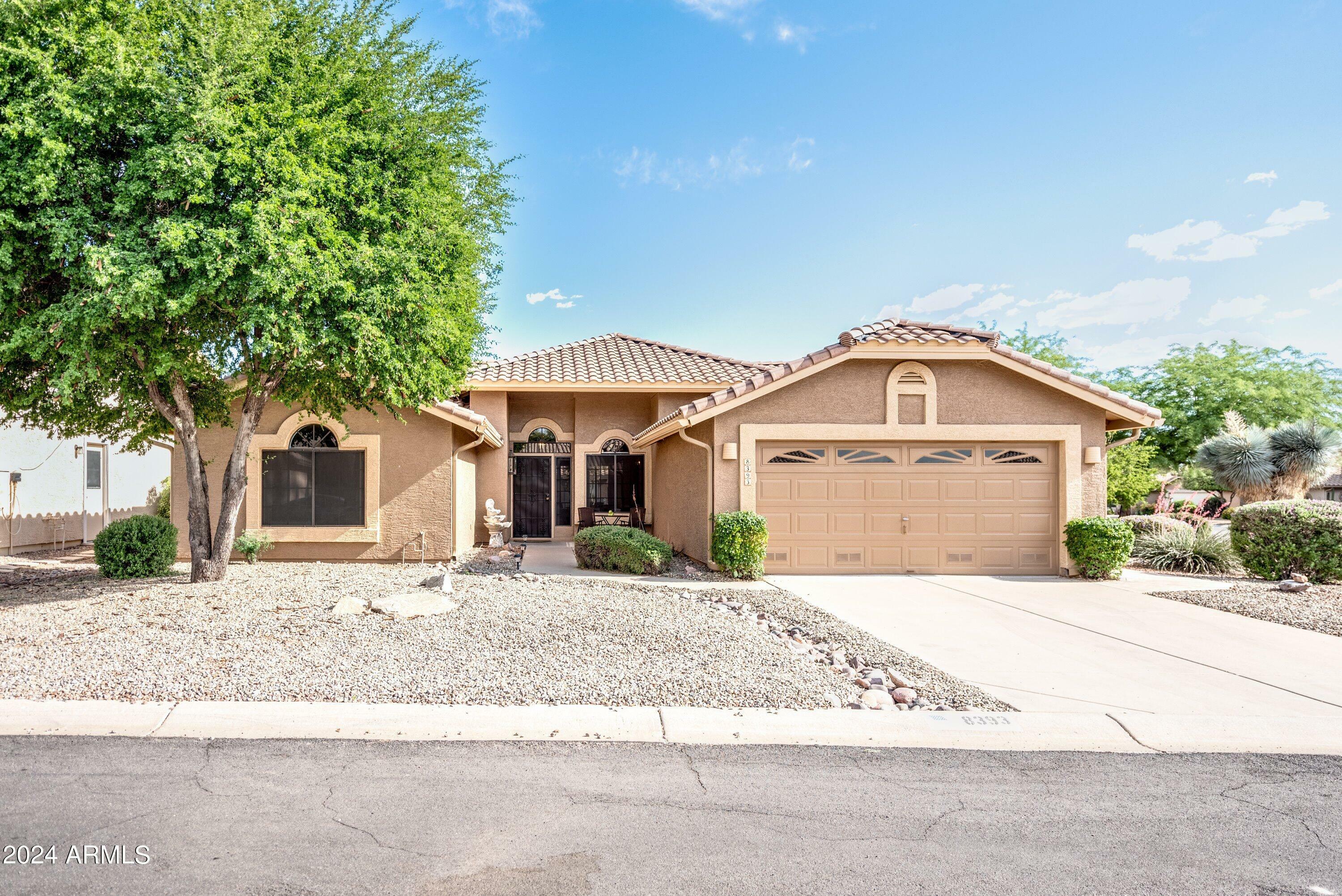 Property Photo:  8393 E Jumping Cholla Drive  AZ 85118 