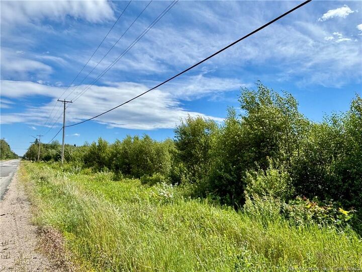 4.62 Acres Stymiest Road — photo 1