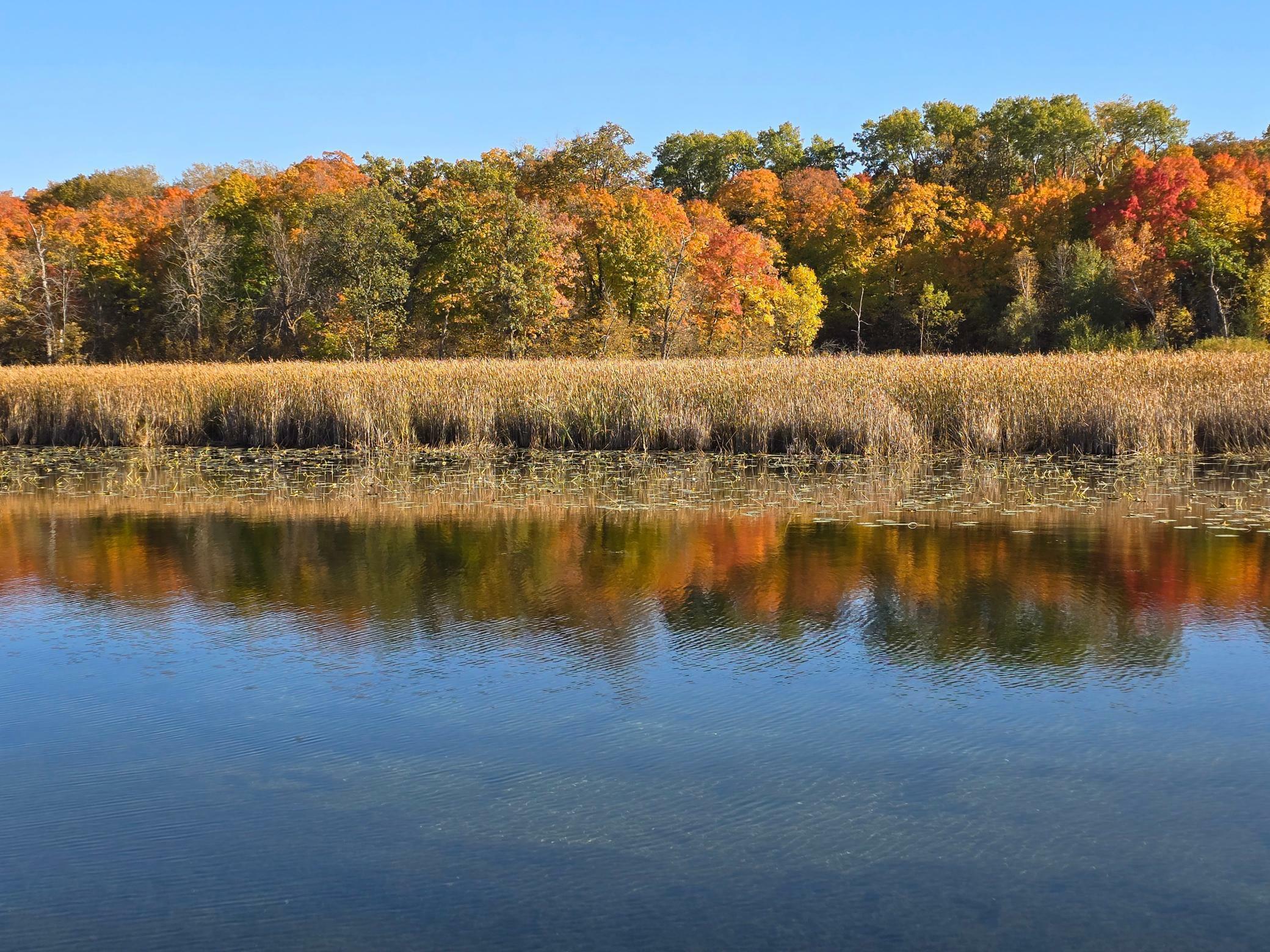 Property Photo:  Tract G Blybergs Lane  MN 56572 