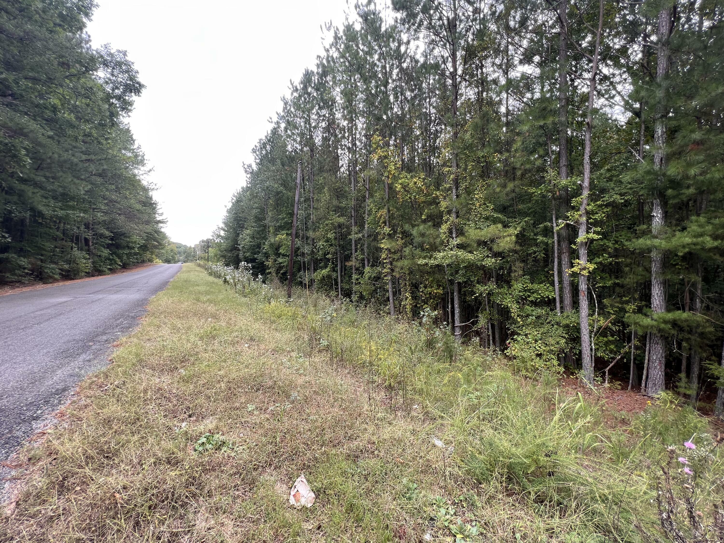 Property Photo:  0 Alabama State Route 40  AL 35989 