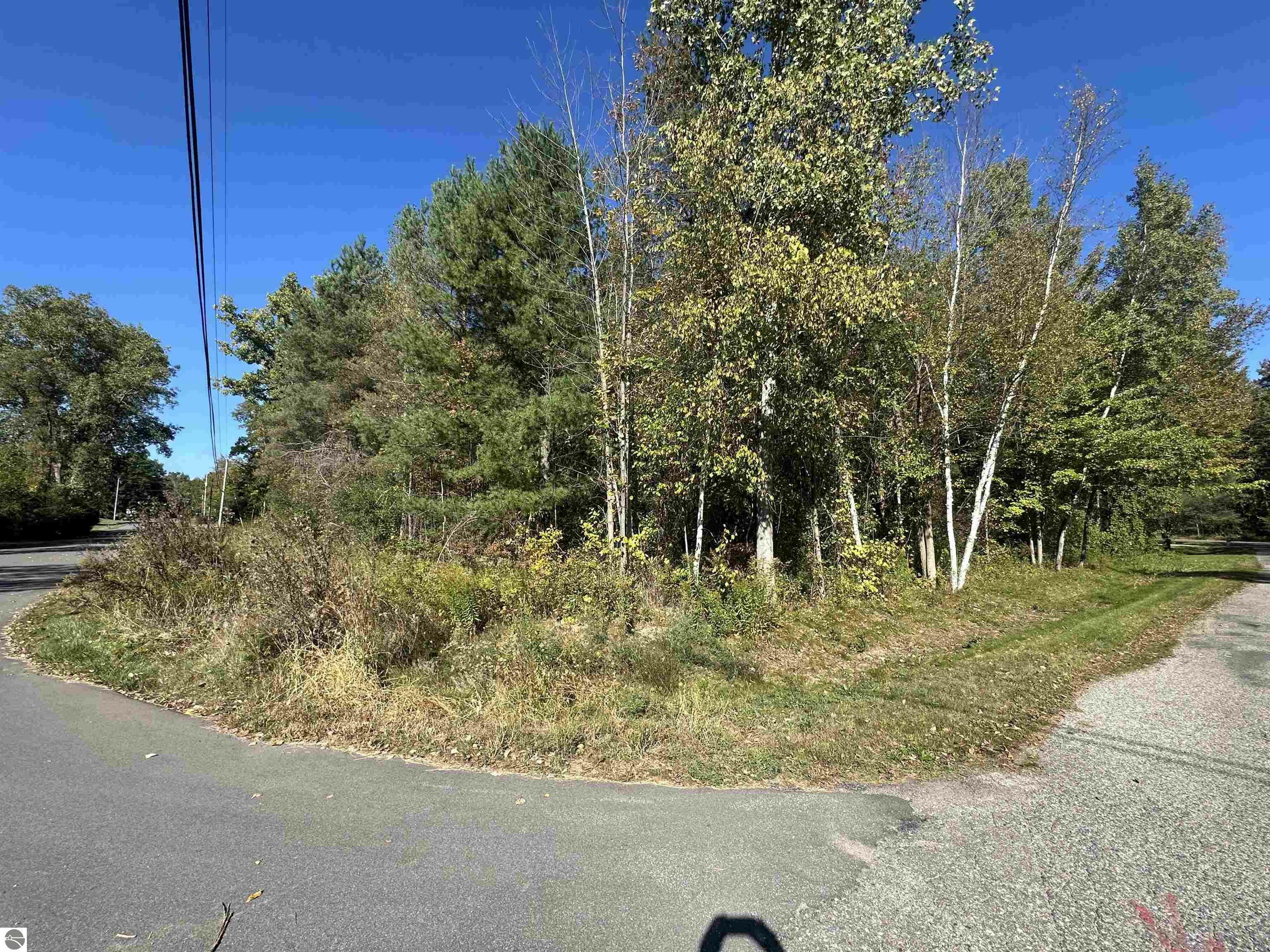 Lot 39 Lena Drive  Clare MI 48617 photo