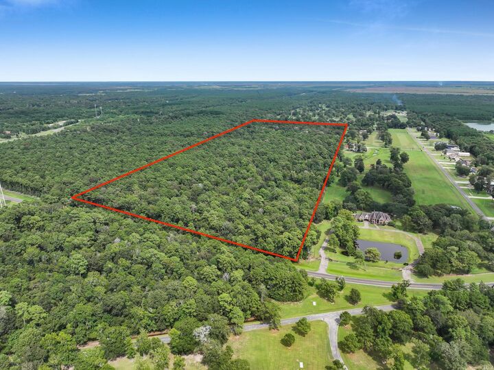 Property Photo:  0 Hwy 61  TX 77560 