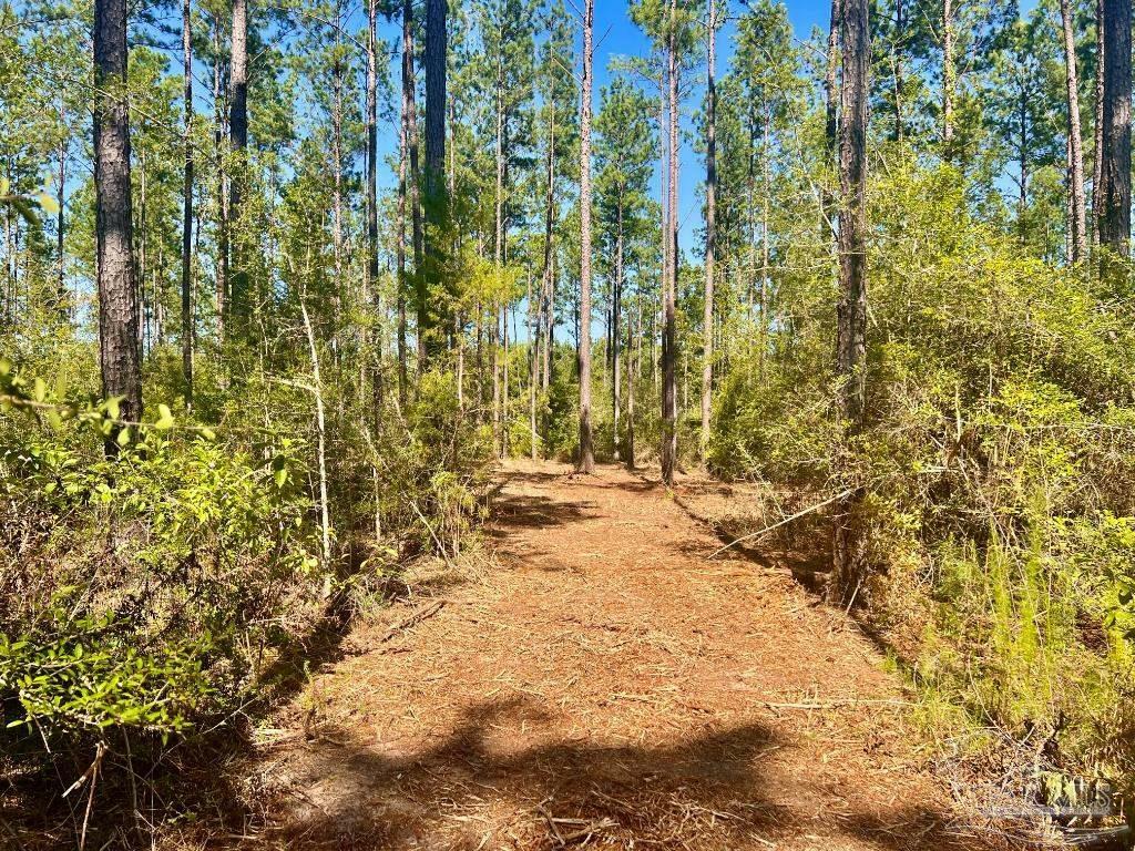 Property Photo:  Lot 94 Turning Leaf Rd  FL 32571 