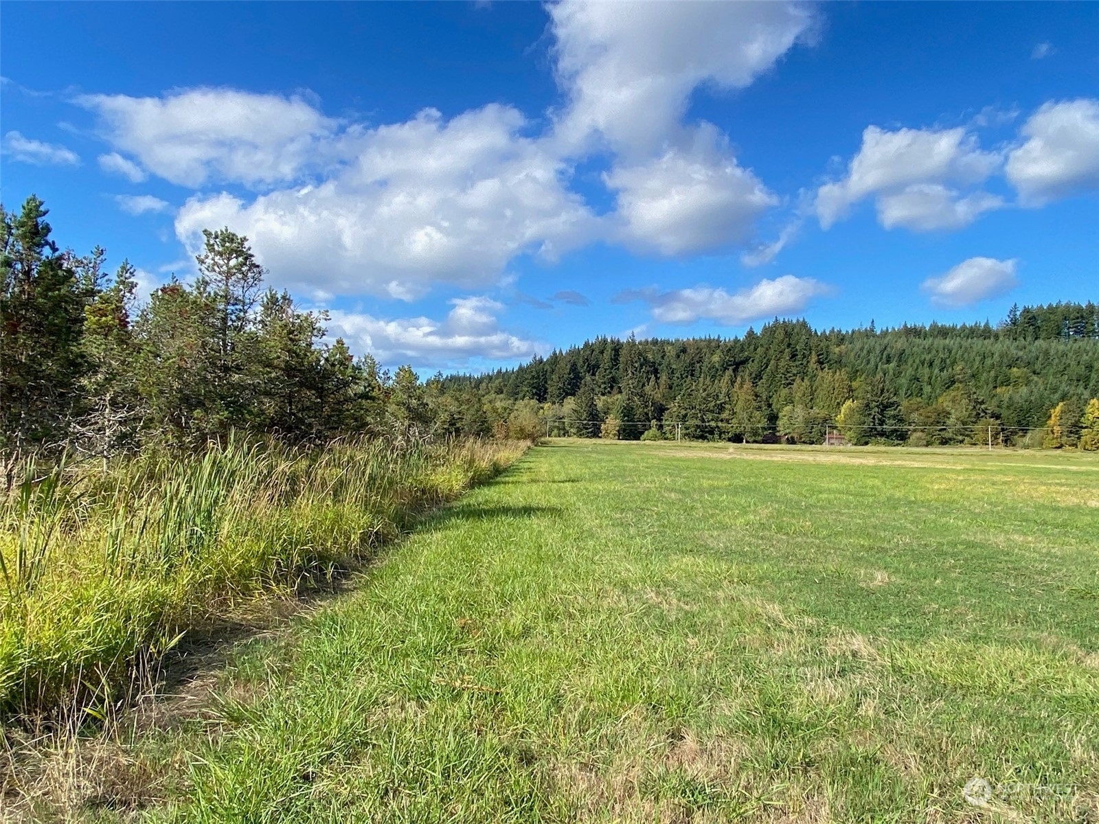 Property Photo:  0 Bunker Creek Road Lot A  WA 98532 