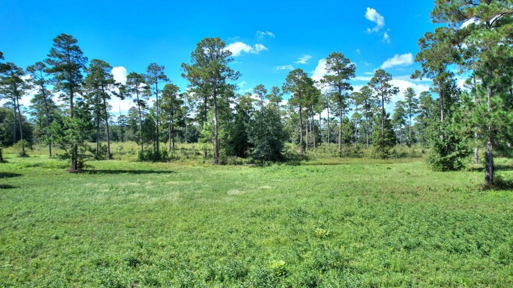 Property Photo:  Lot 12 Blk A - N Coney Rd  GA 31015 