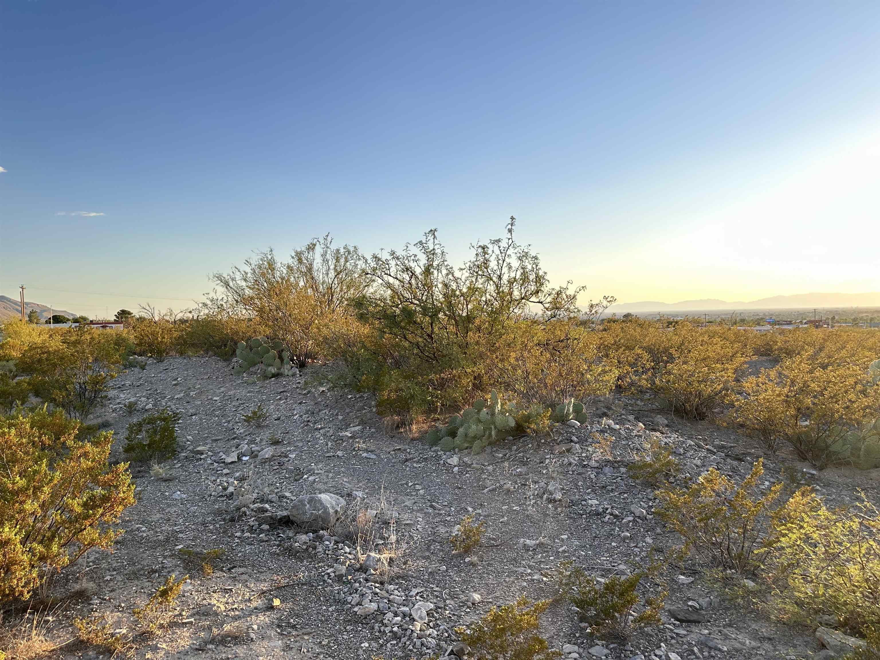 Property Photo:  2109 Scenic Dr 2109,2113,2117 Scenic Dr  NM 88310 