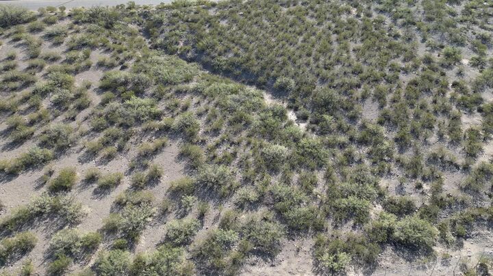 Property Photo:  2109 Scenic Dr 2109,2113,2117 Scenic Dr  NM 88310 