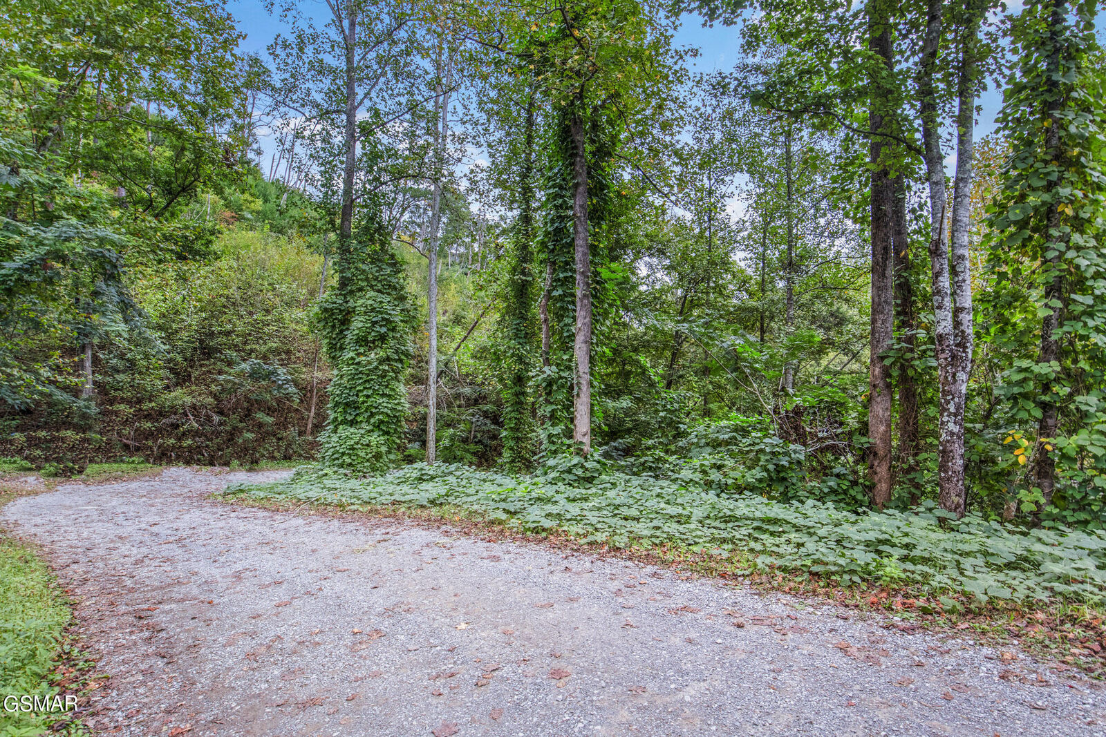 Property Photo: Mt. Garrison Way TN 37738