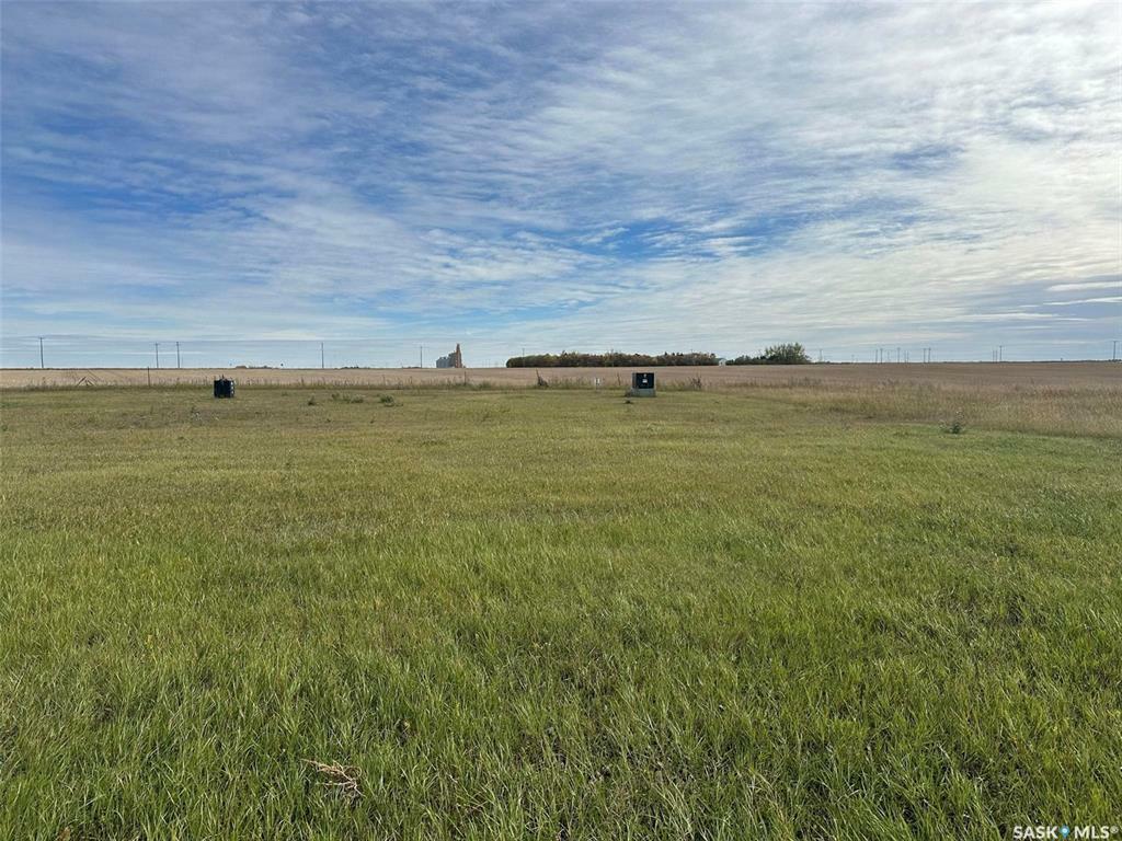 19 Prairie View Crescent  Colonsay SK S0K 0Z0 photo